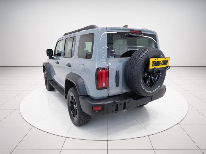 300 2021 Off-road 2.0T Conqueror photo 4