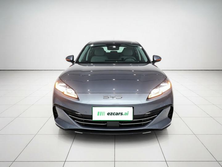 Seal 06 EV 2026 DM-i 210KM Flagship photo 2
