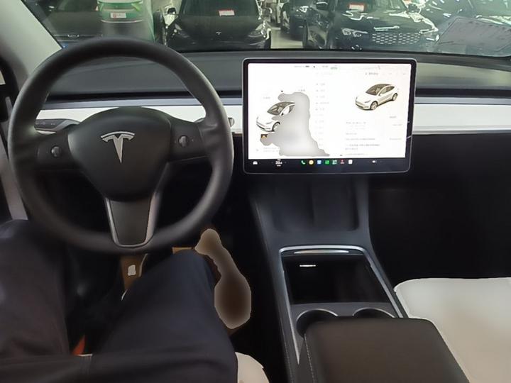 Model Y 2021 Long Range AWD photo 5