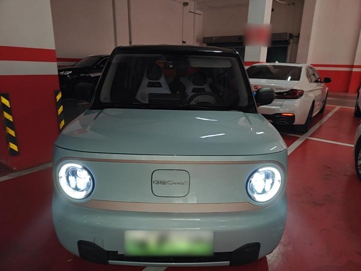 2024 200km Panda photo 2