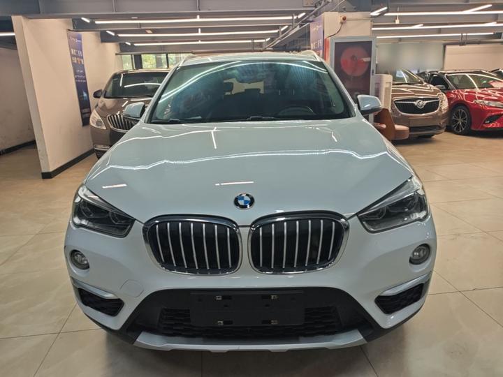 X1 2019 xDrive20Li Exclusive photo 2