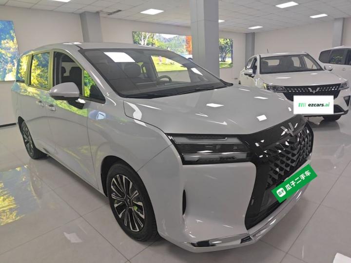 730 EV 2025 125km Luxury photo 3