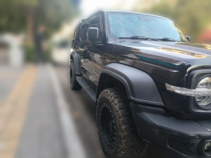 300 2021 Off-road 2.0T Conqueror photo 3