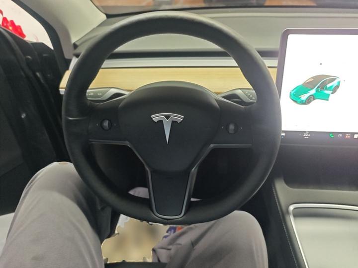 Model Y 2021 Long Range AWD photo 6