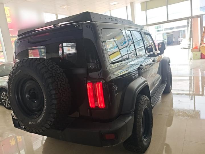 300 2021 Off-road 2.0T Conqueror photo 4