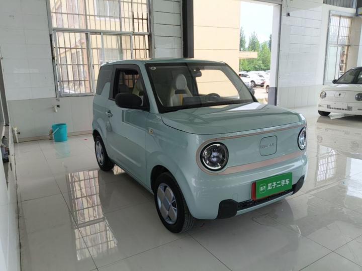 2023 Panda mini 200km Endurance Bear photo 3