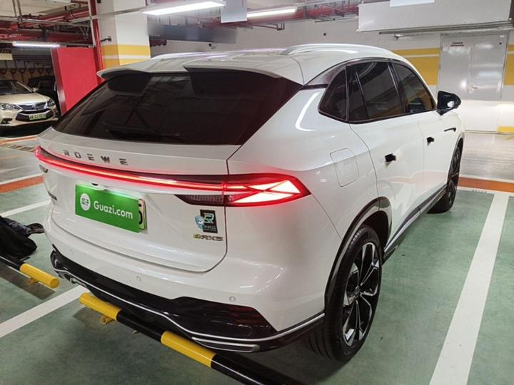 RX5 EV 2023 eRX5 photo 6