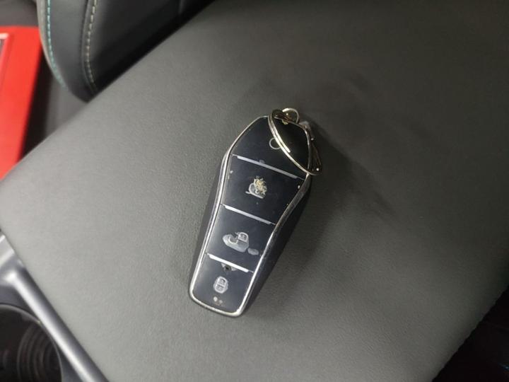 Qin L 2024 DM-i 80KM photo 8