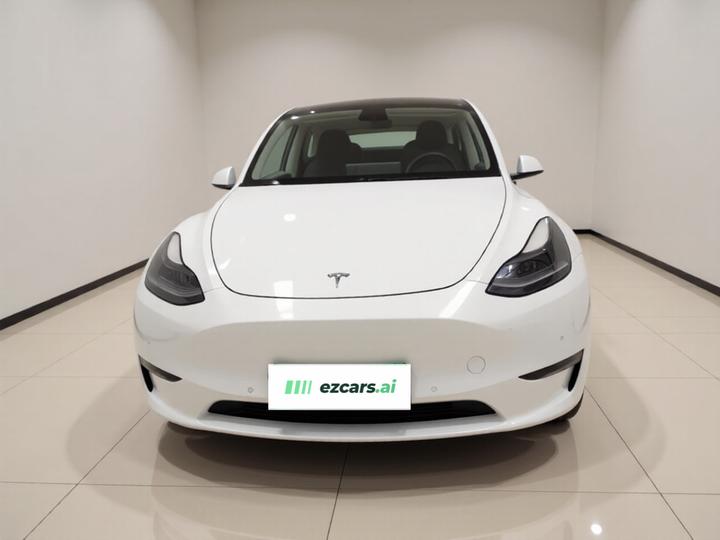 Model Y 2021 Standard Range RWD photo 2