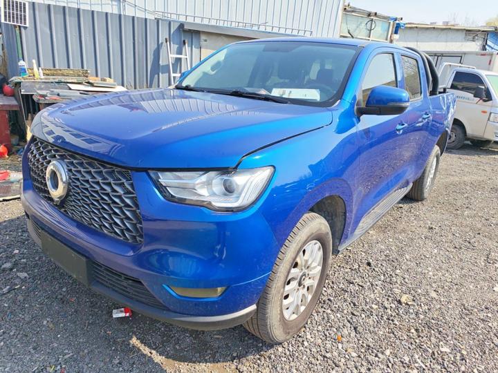 2019 2.0T AT Petrol RWD Elite GW4C20B