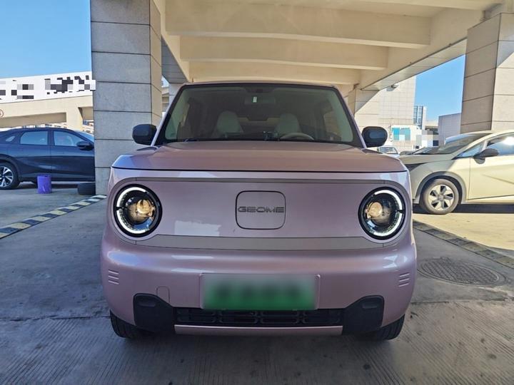 2024 Panda mini 200km Endurance Bear photo 2