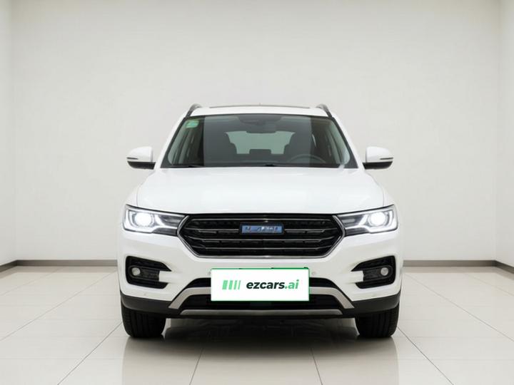 H7 2017 Blue Label H7L 2.0T AT Luxury photo 2