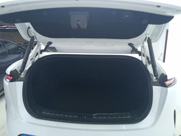 11 2025 Facelift Max EREV photo 8