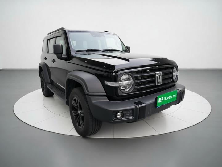 300 2021 Off-road 2.0T photo 3