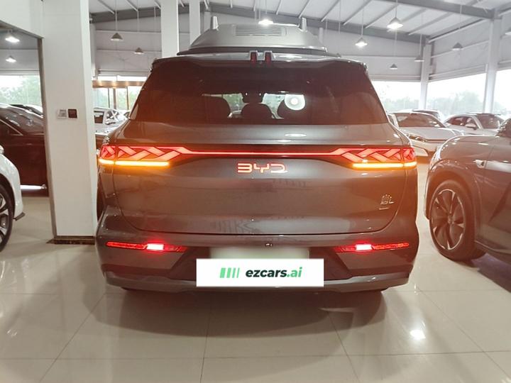 Tang L 2025 DM 175KM photo 3