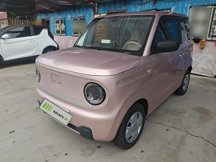 2023 Panda mini 200km Endurance Bear