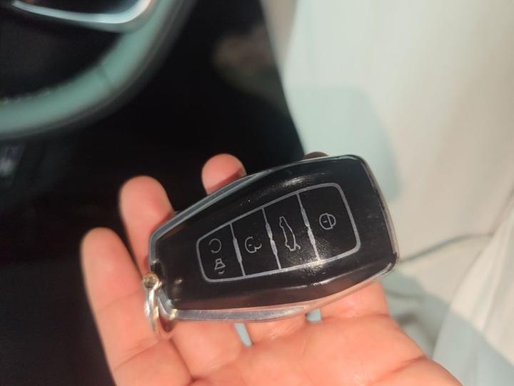 Haoyue L 2024 2.0T DCT Premium photo 8
