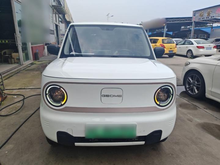 2023 Panda mini 200km Endurance Bear photo 2