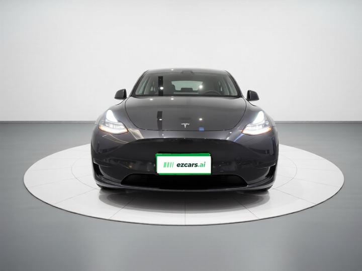 Model Y 2024 Long Range AWD photo 2