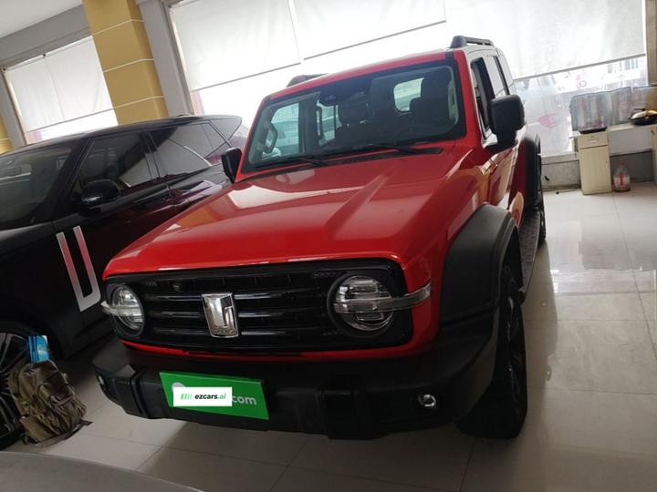 300 2021 Off-road 2.0T photo 2