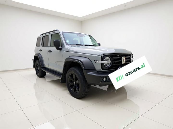 300 2023 Off-road 2.0T photo 3