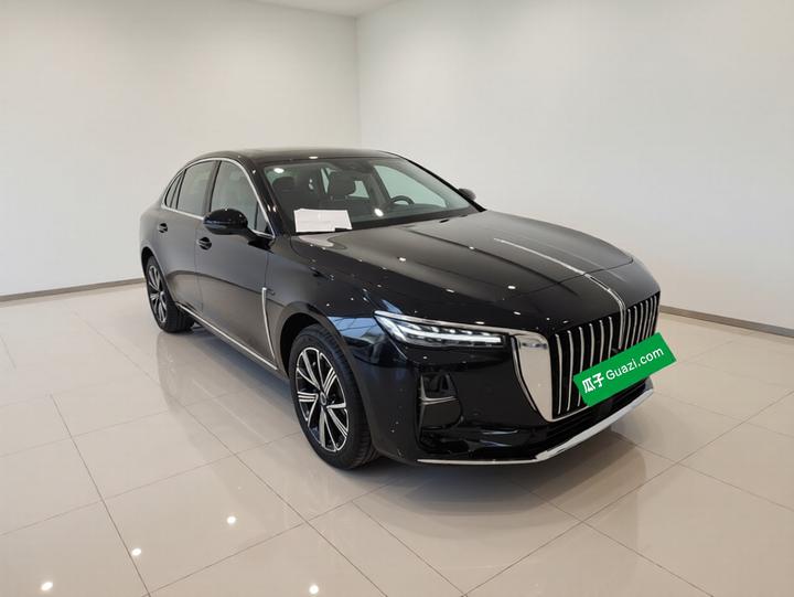 H5 PHEV 2025 130 photo 3