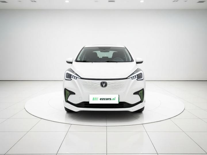 Benni E-Star 2021 LFP 31.95kWh photo 2