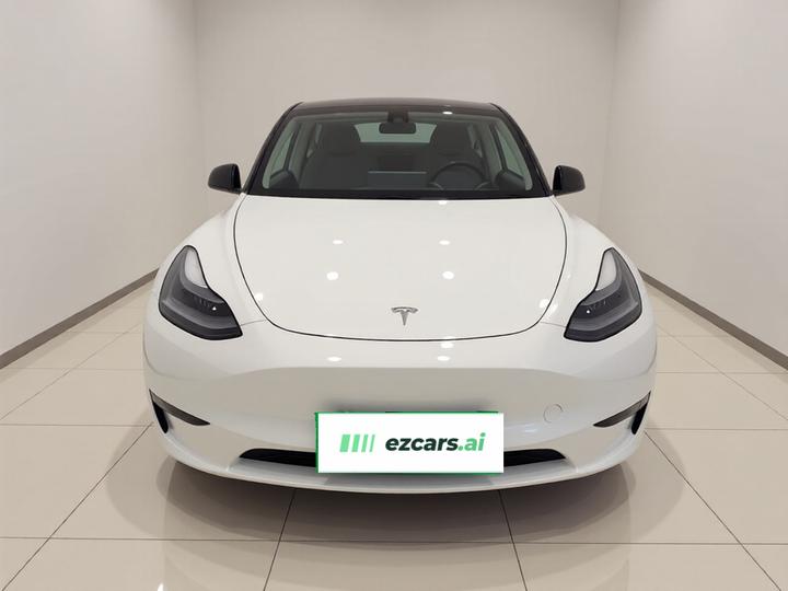 Model Y 2021 Standard Range RWD photo 2