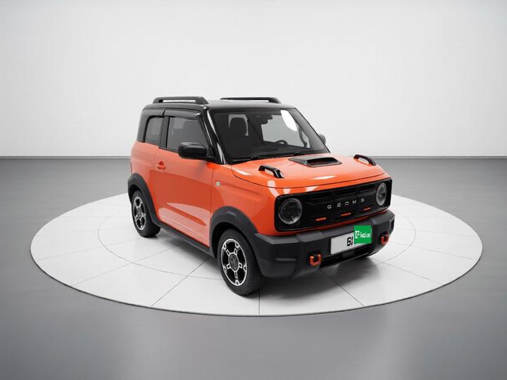 2024 200km Panda photo 3