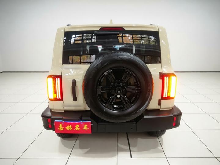 300 2025 2.0T Petrol Conqueror photo 5