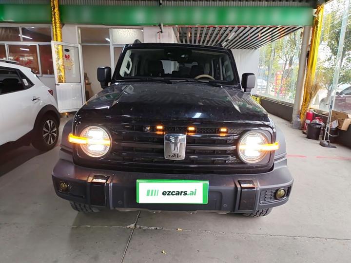 300 2021 Off-road 2.0T Conqueror photo 2