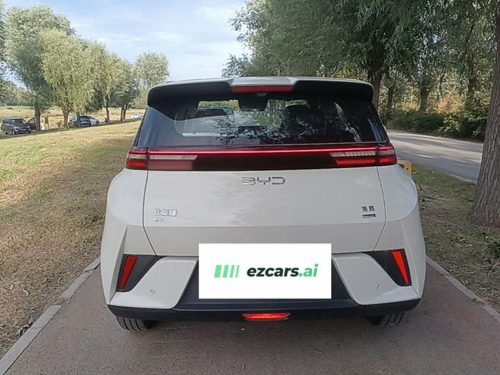 Seagull 2025 ADAS 305km photo 3