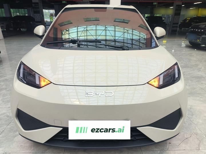 Seagull 2025 ADAS 305km photo 2