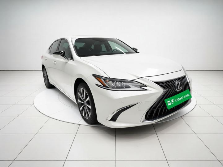 ES 2023 260 Excellence photo 3