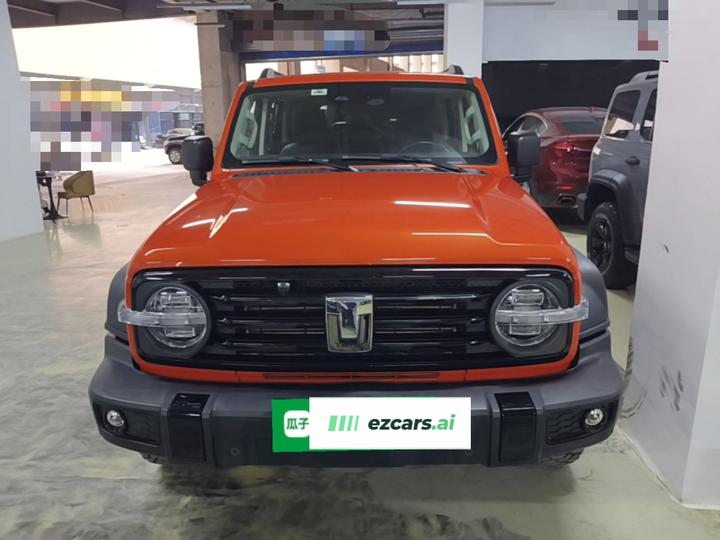 300 2021 Off-road 2.0T photo 2