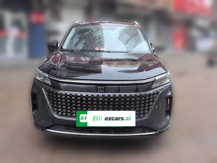 Bluelectric E5 2024 Honor 100KM Exclusive 7-Seater photo 2