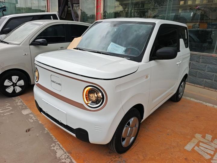 2024 Panda mini 200km Endurance Bear