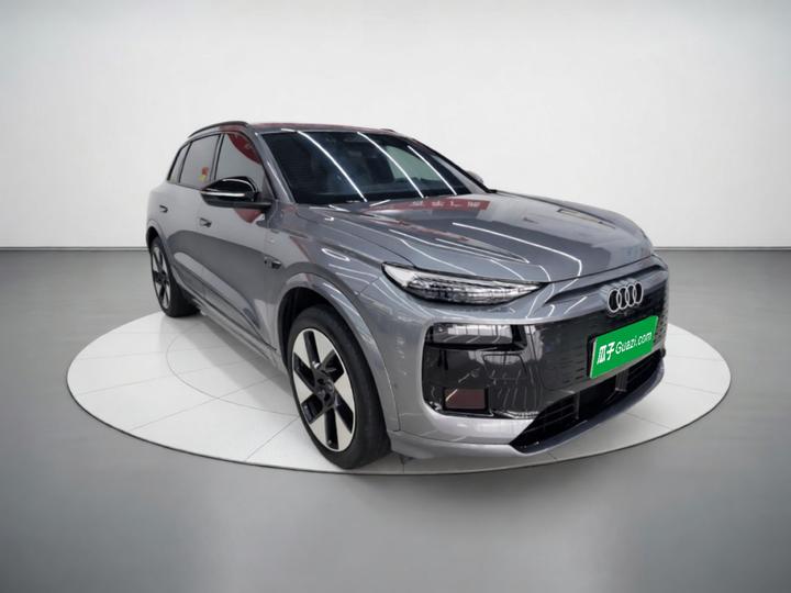 Q6L e-tron 2026 Pilot photo 3