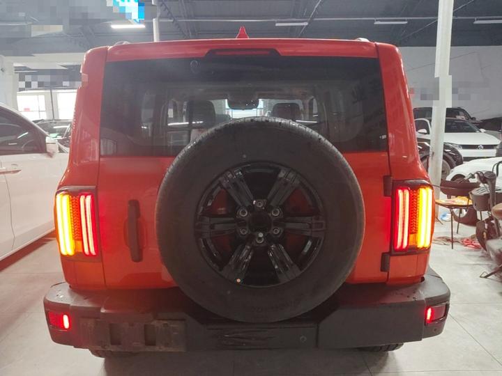 300 2021 Off-road 2.0T Conqueror photo 5