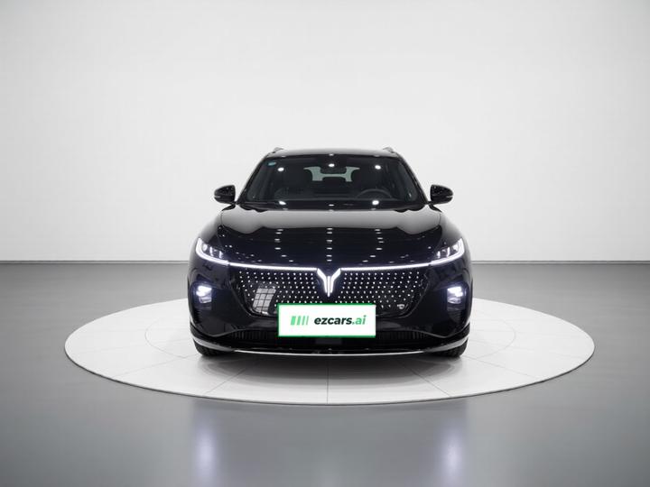 Voyah 2024 AWD photo 2