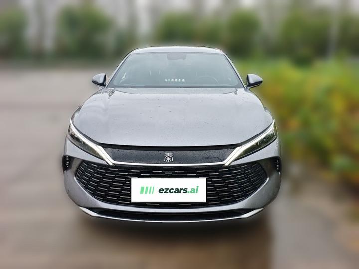 Qin L 2024 DM-i 80KM photo 2