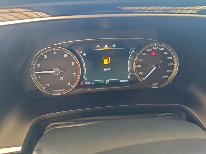 GAC Trumpchi M8 2021 Leading Series 390T Exclusive photo 7