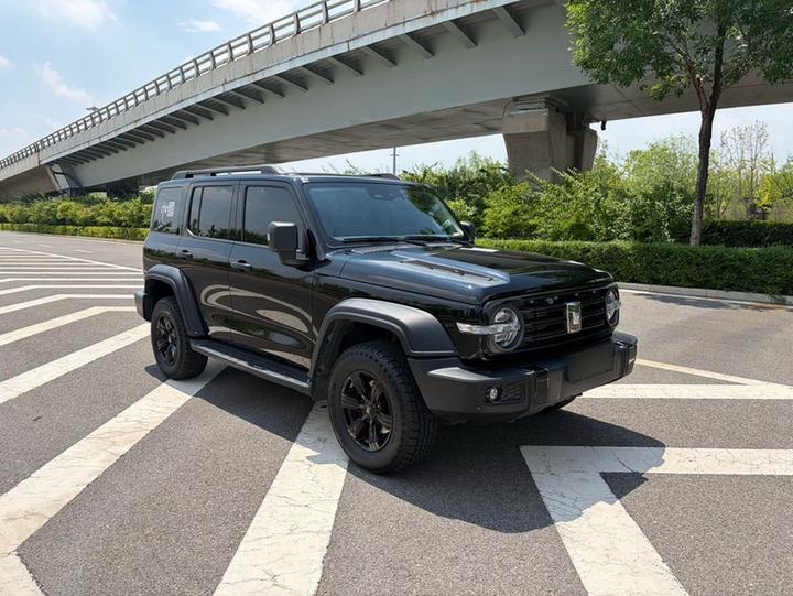 300 2021 Off-road 2.0T Conqueror photo 3