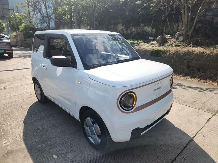 2023 Panda mini 200km Endurance Bear photo 3