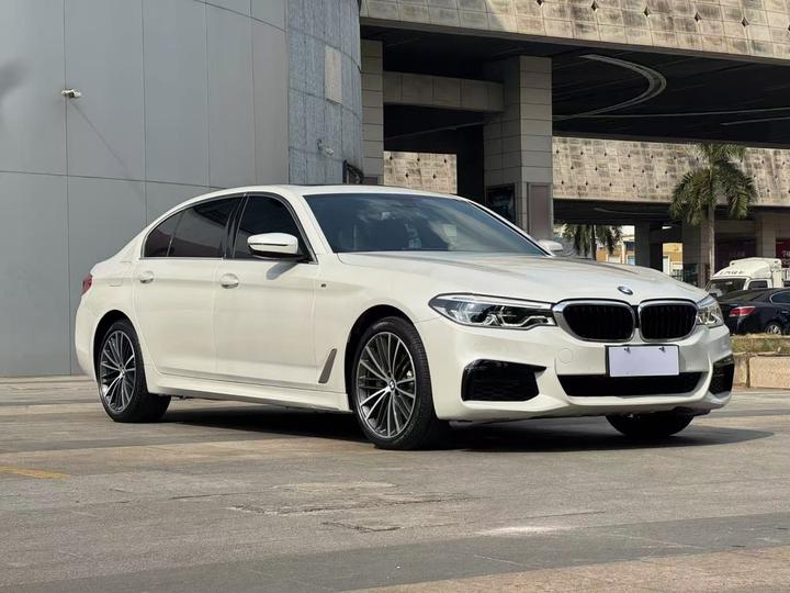5 Series 2020 530Li xDrive M Sport Package photo 3