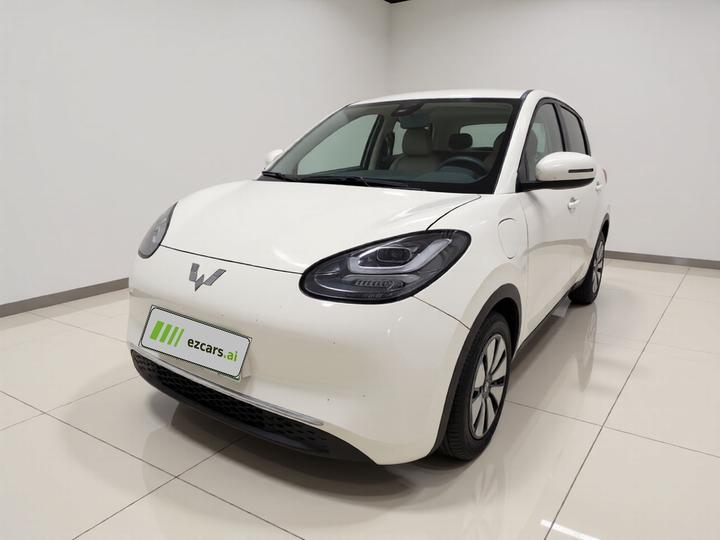 Wuling Bingo 2023 333km +