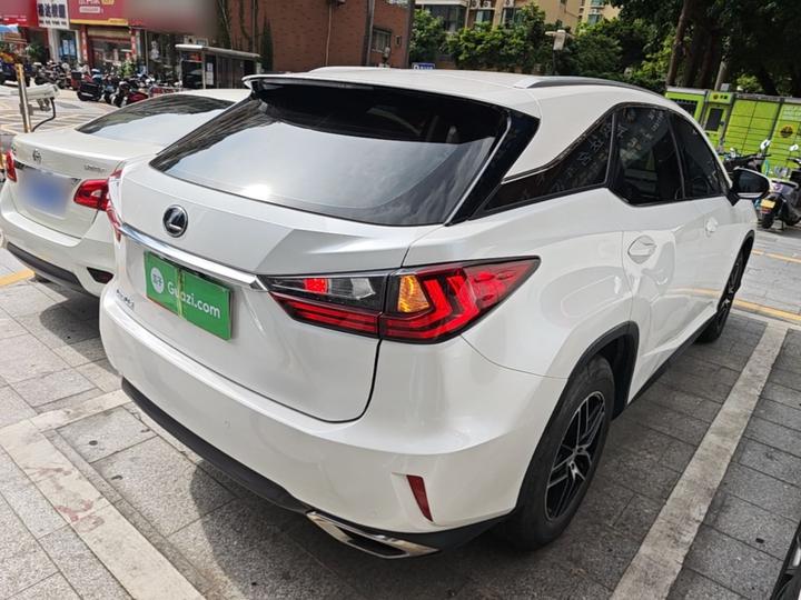 RX 2016 300 RWD Comfort China V photo 4