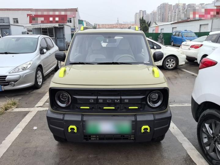 2025 210km Panda photo 2
