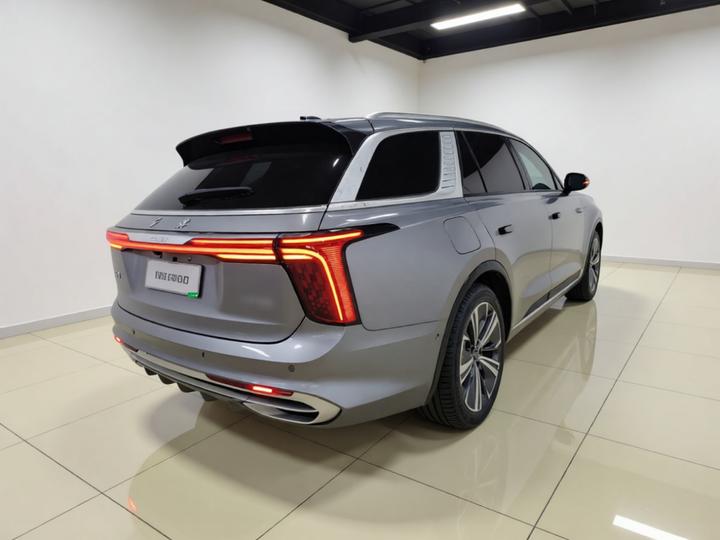 E-HS9 2021 510km 6-Seater photo 4