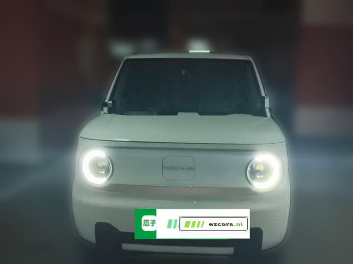 2024 Panda mini 200km Endurance Bear photo 2